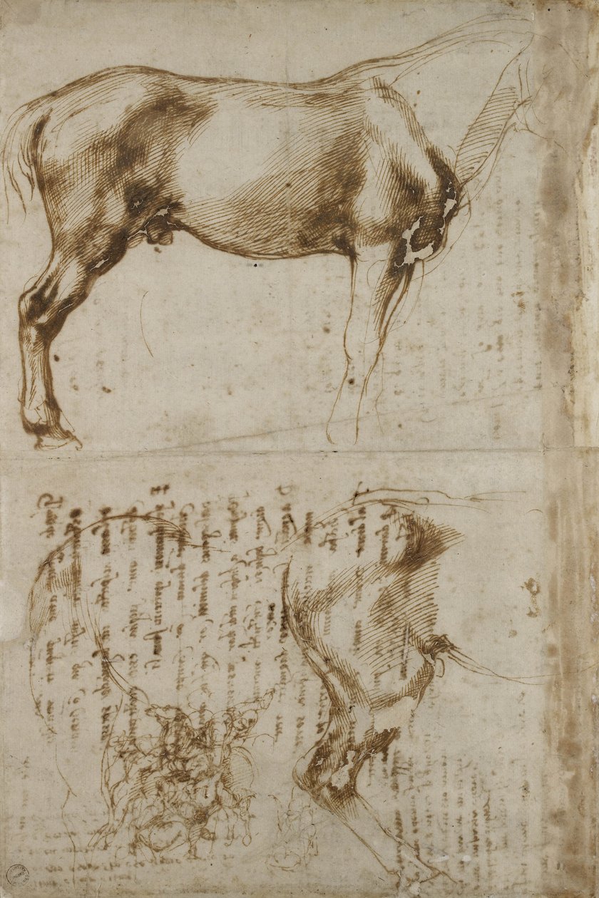 Anatomisk hestestudie, 1504 av Michelangelo Buonarroti