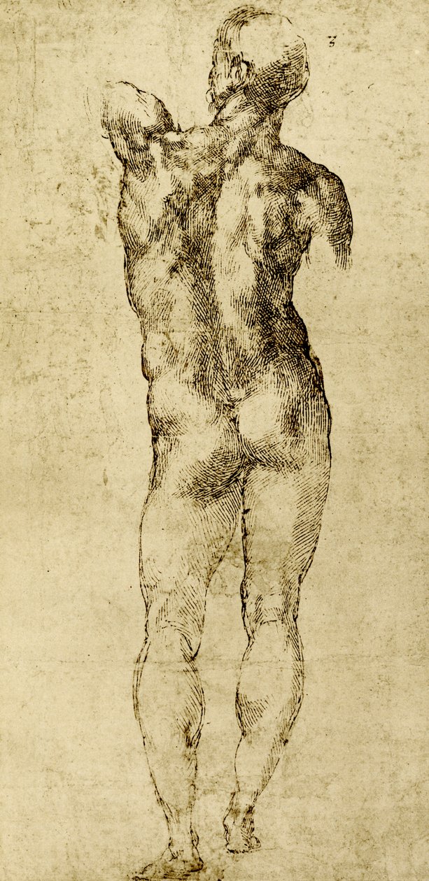 Naken mann av Michelangelo Buonarroti