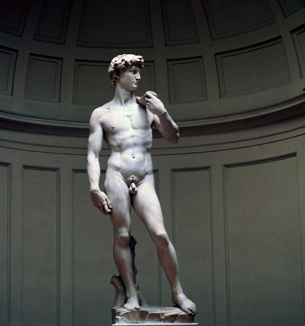 Michelangelos David, 1500-tallet av Michelangelo Buonarroti