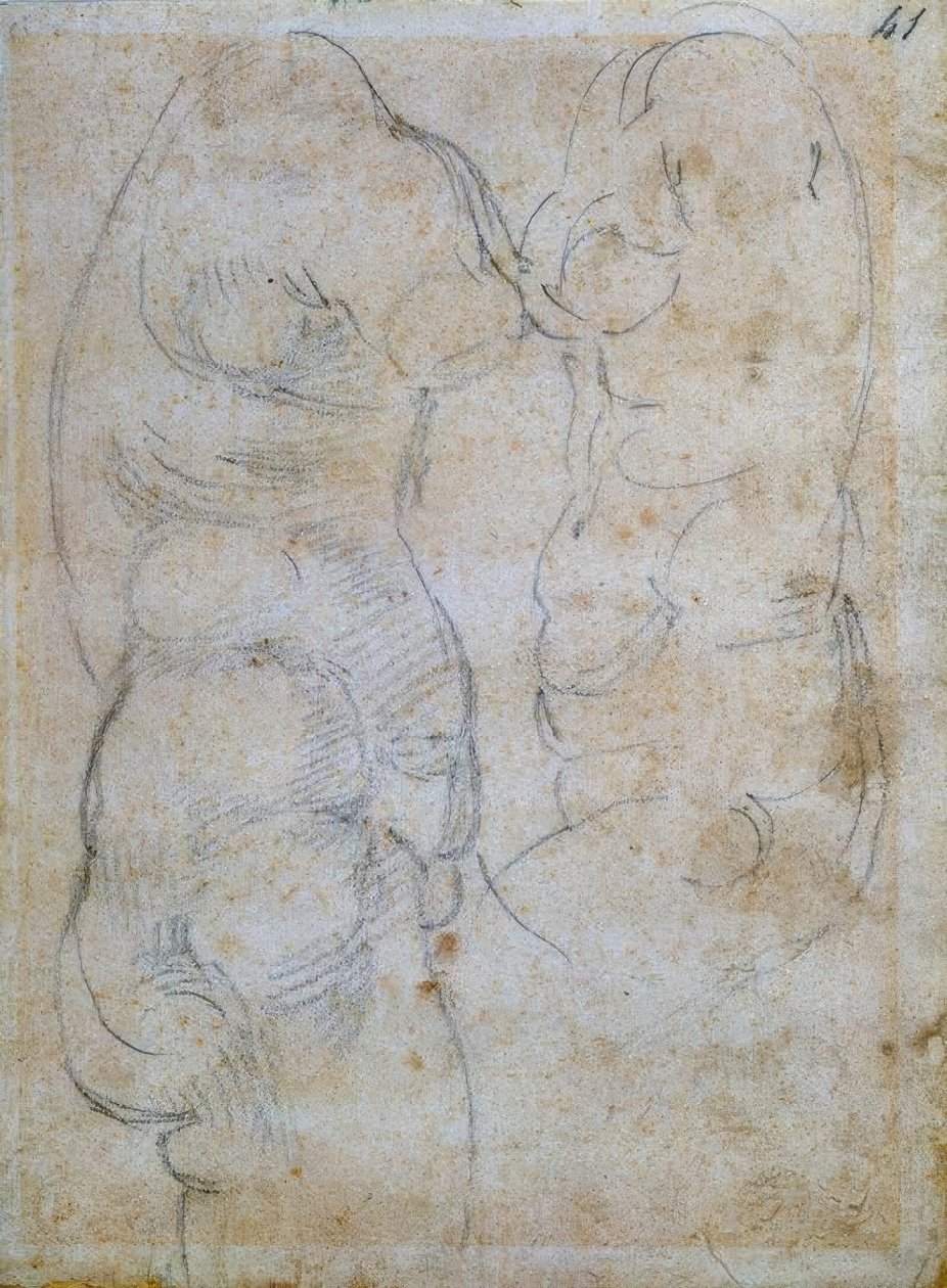 To studier basert på en gammel kvinnes overkropp av Michelangelo Buonarroti
