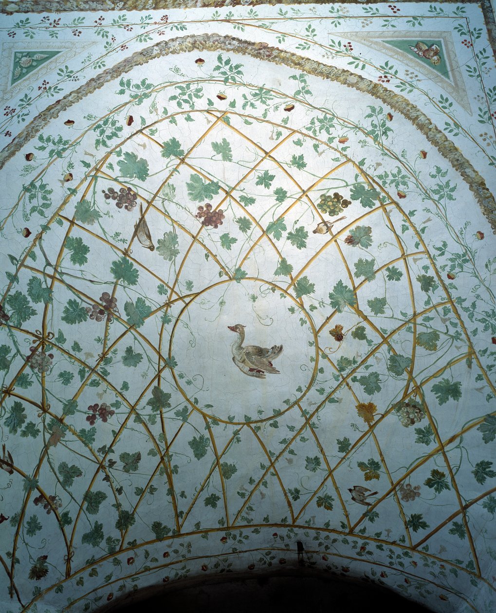 Utsikt over hvelvet i kjelleren, Villa Medicea di Careggi av Michelozzo di Bartolommeo