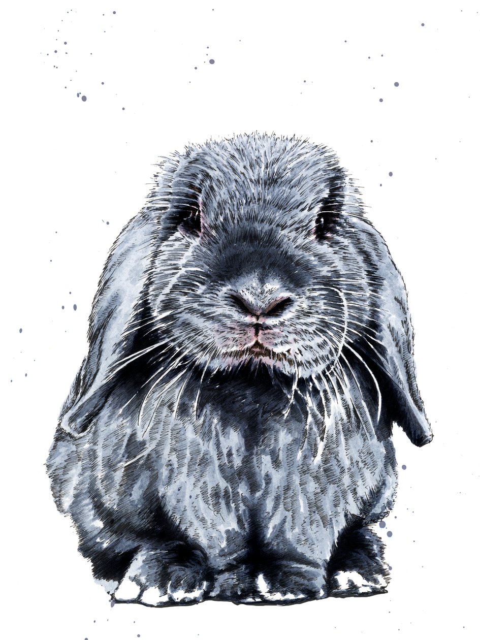 Grey One The Bunny on White, 2019 av Mike Davis