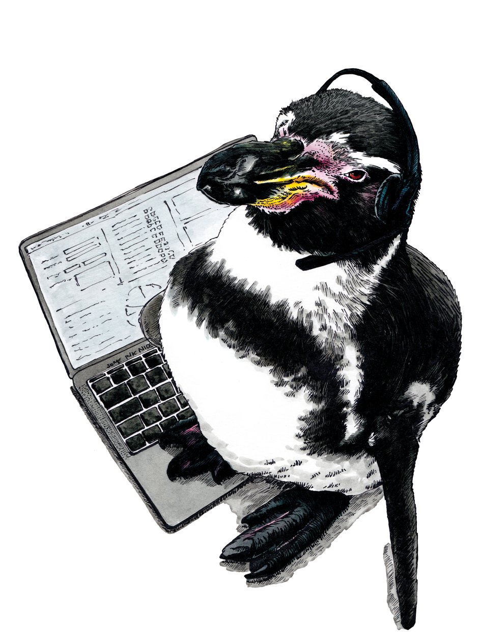 New Job Penguin on White, 2020 av Mike Davis