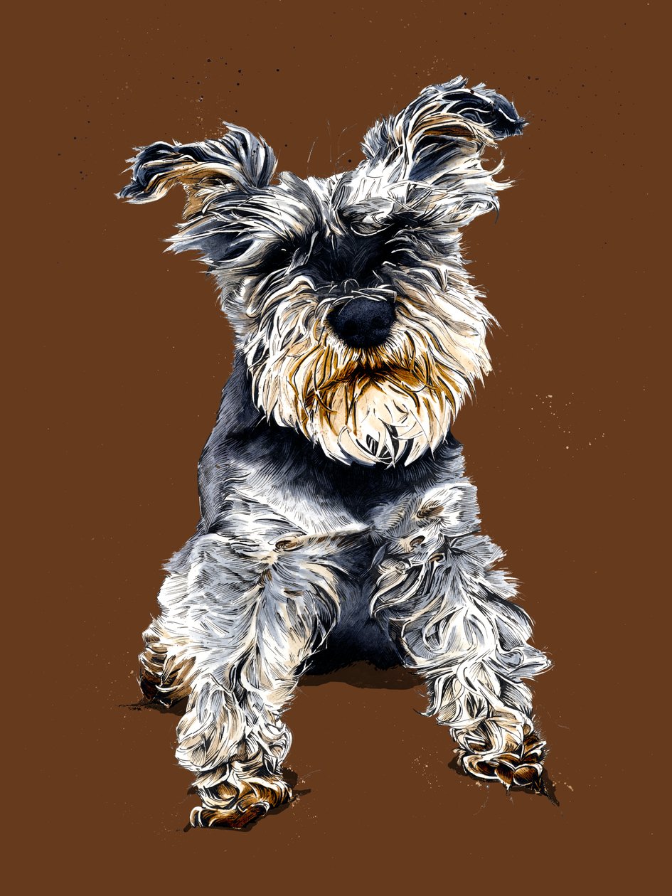 Ollie The Schnauzer på brent appelsin, 2020 av Mike Davis
