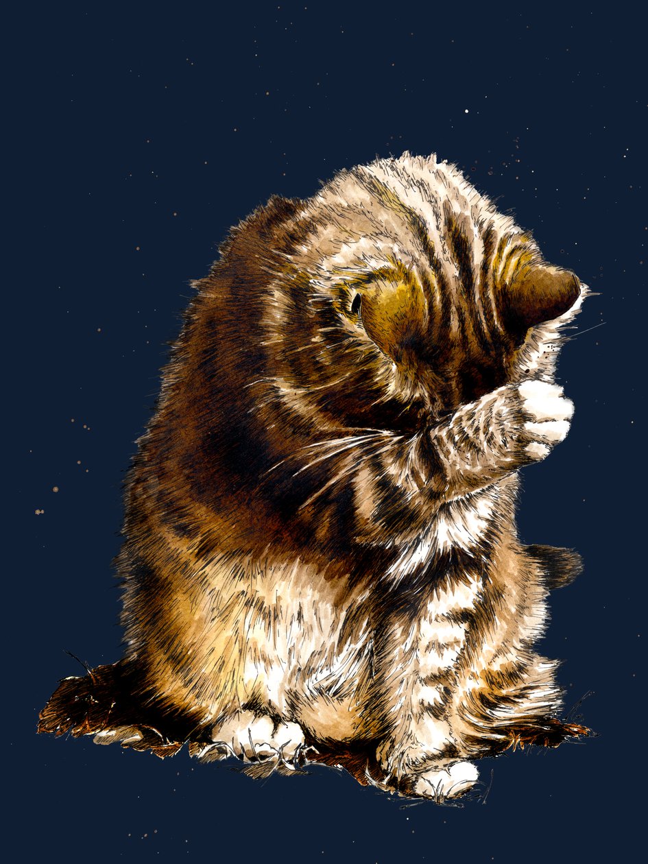 Smallfry The Cat on Midnight Blue, 2020 av Mike Davis