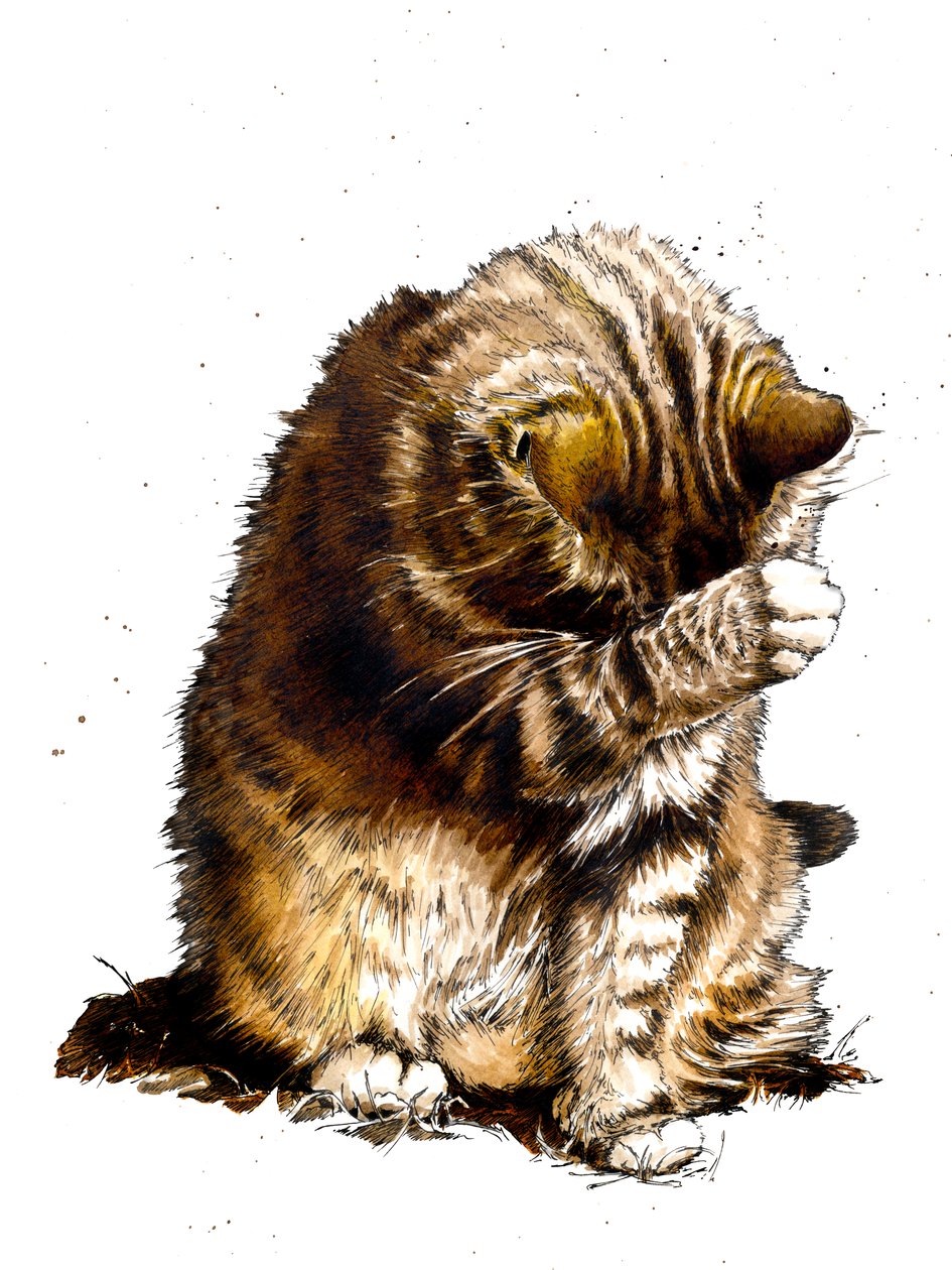 Smallfry The Cat on White, 2019 av Mike Davis