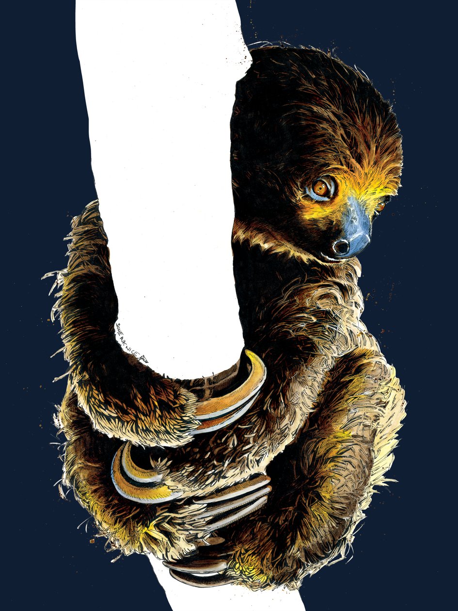 Talita The Sloth on Midnight Blue, 2020 av Mike Davis