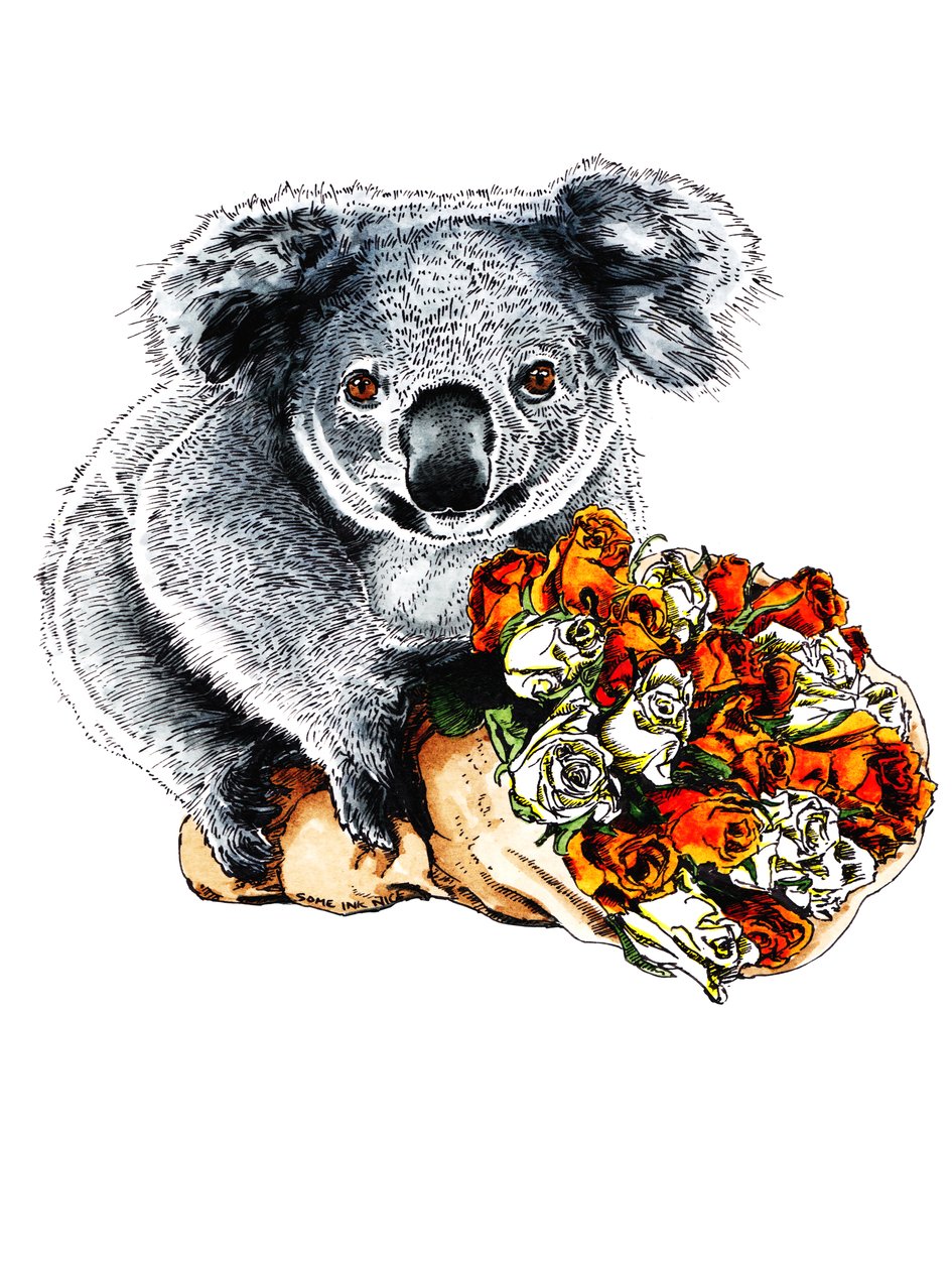 Takk Koala on White, 2020 av Mike Davis