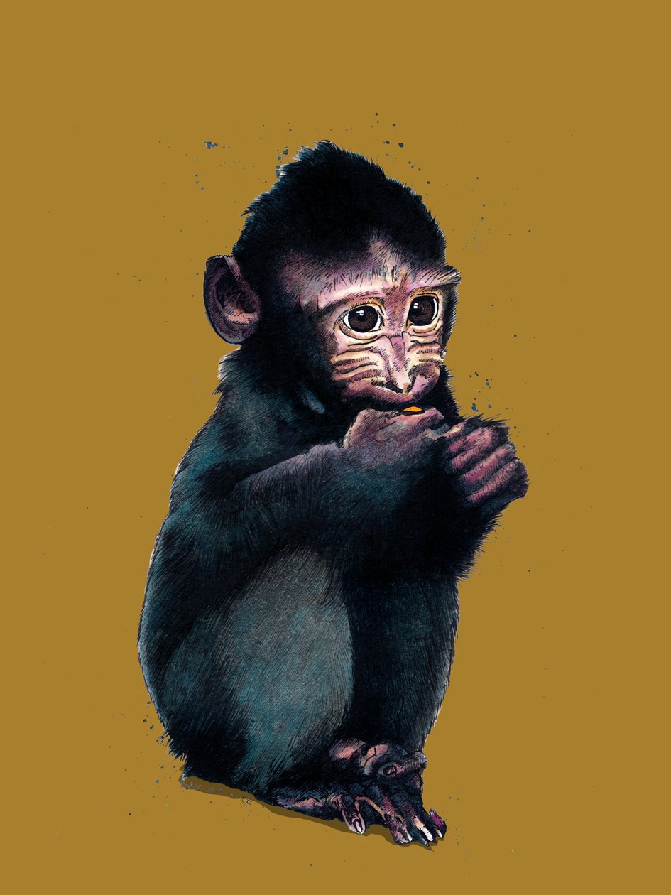 The Baby Makaque on Golden Yellow, 2020 av Mike Davis