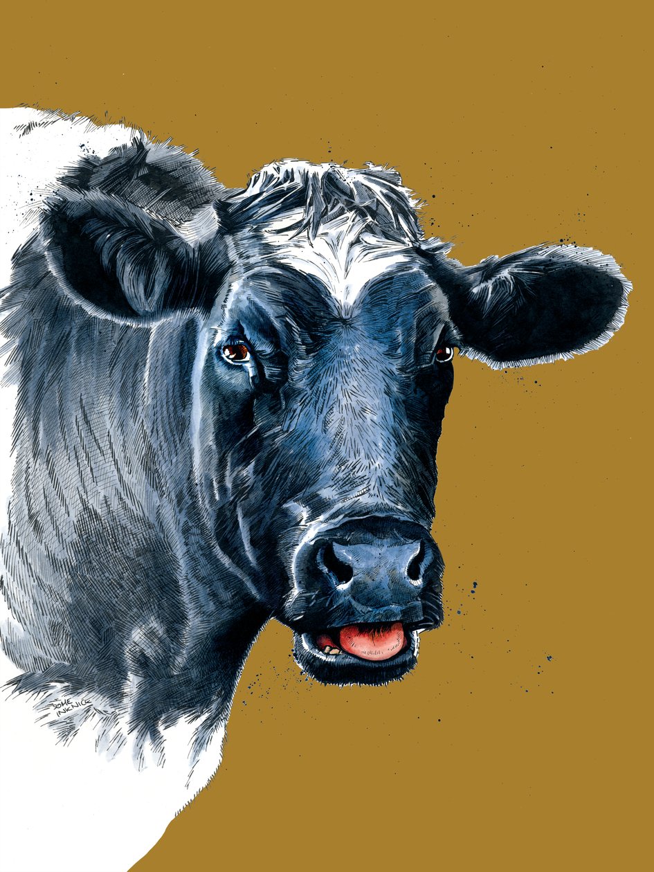 The Cow on Golden Yellow, 2021 av Mike Davis