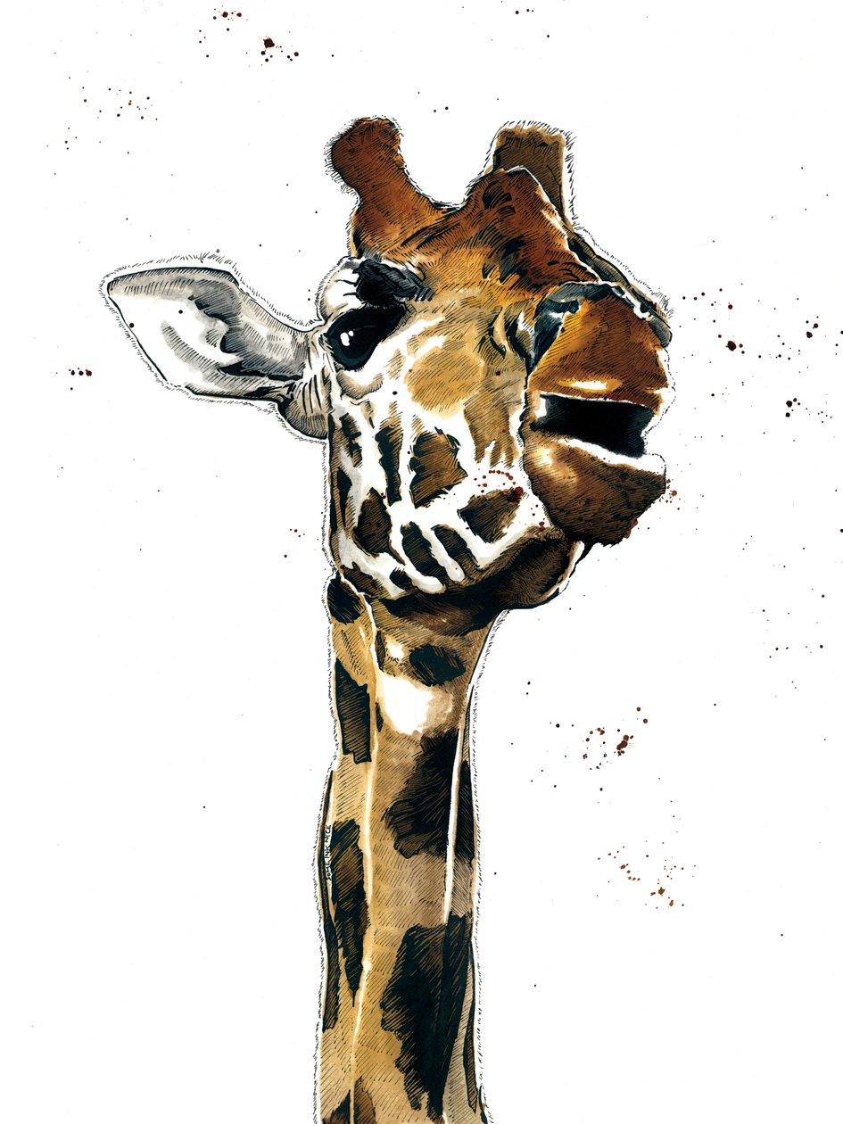 The Giraffe on White, 2019 av Mike Davis