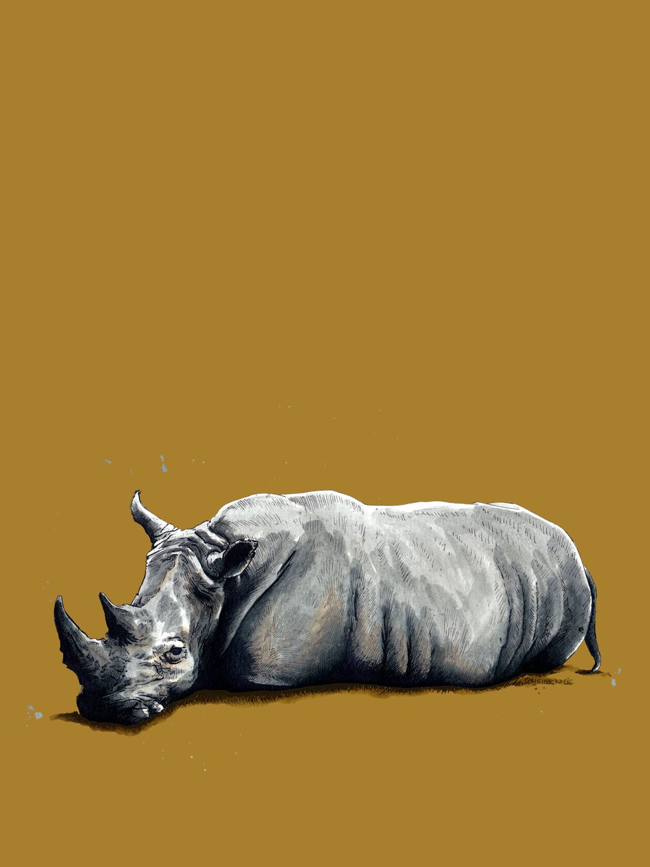 The Rhino on Golden Yellow, 2020 av Mike Davis