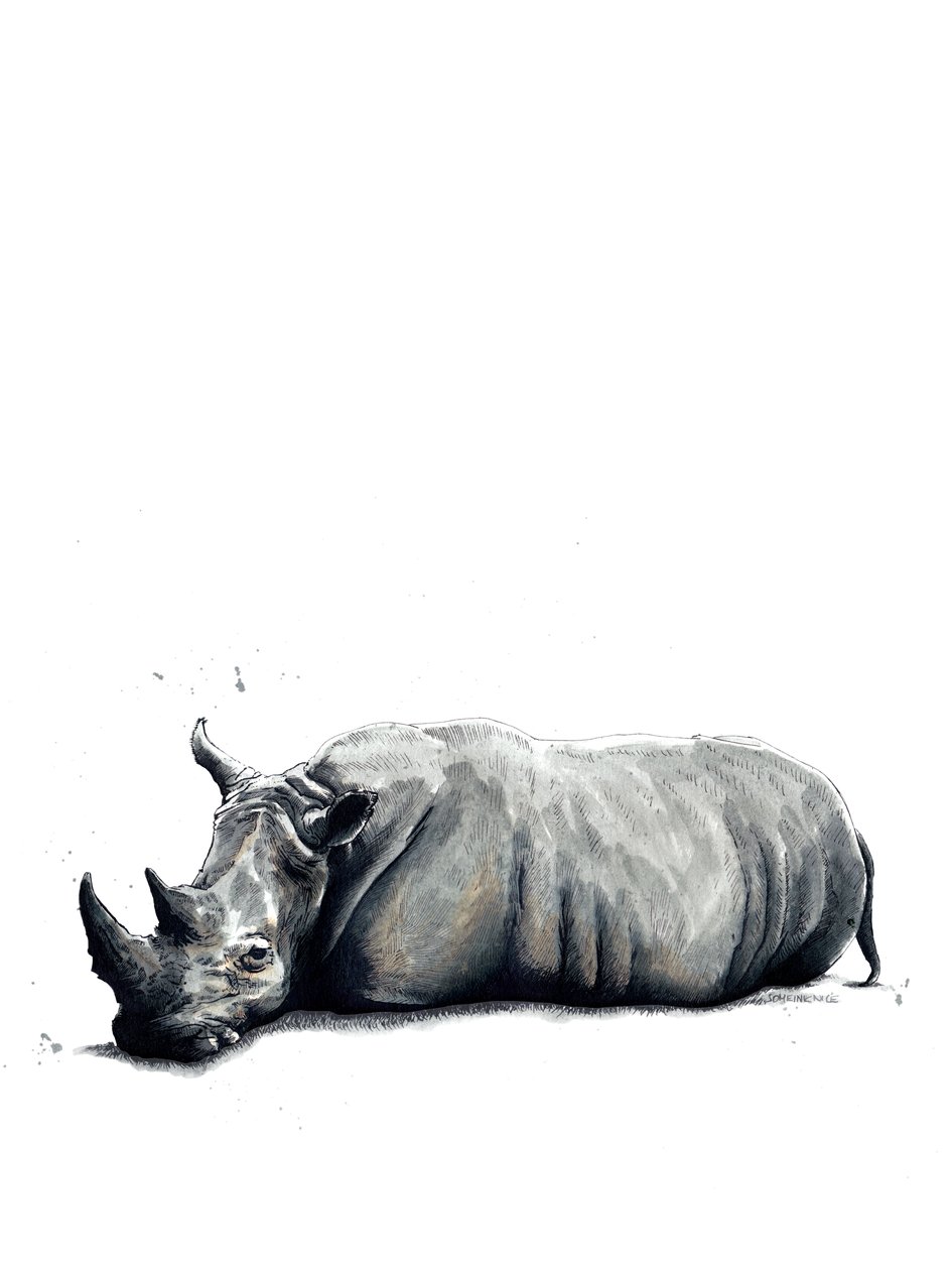 The Rhino on White, 2019 av Mike Davis