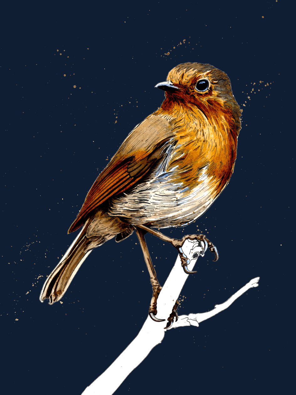 The Robin on Midnight Blue, 2020 av Mike Davis