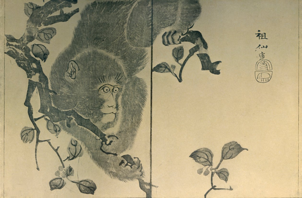 Monkey, 1815, 1924. av Mori Sosen