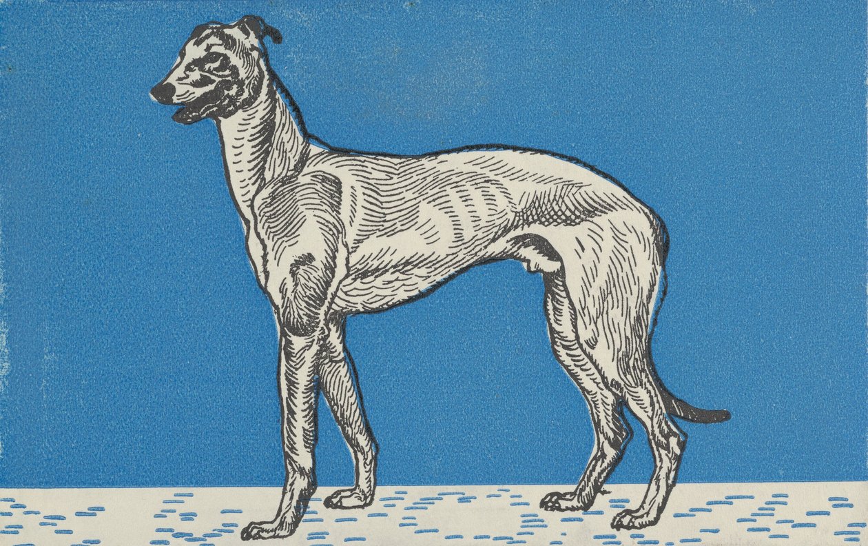 Greyhound, 1912. av Moritz Jung