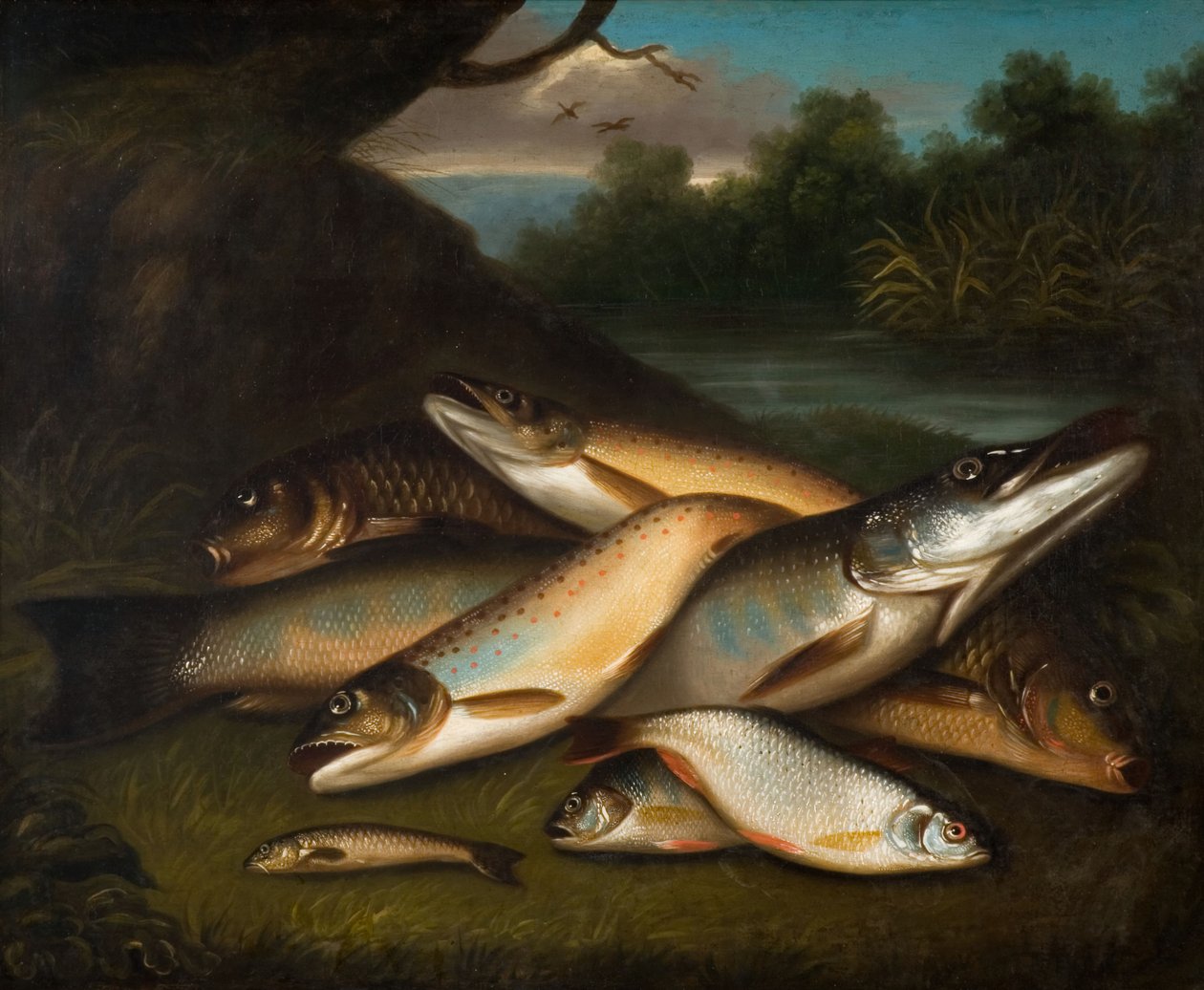 Fisk, 1790. av Moses Haughton