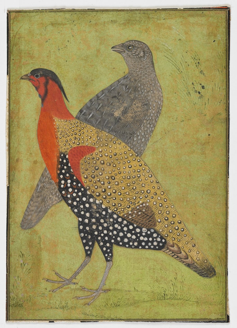 To fasaner, maleri, tidlig på 1600-tallet av Mughal School