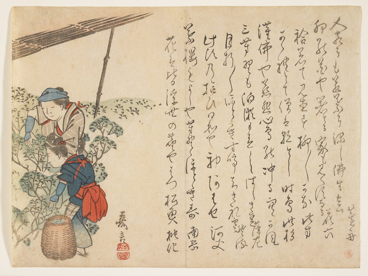 Teplukkere, ca. 1830-44 (farget treblokktrykk) av Murata Kagen