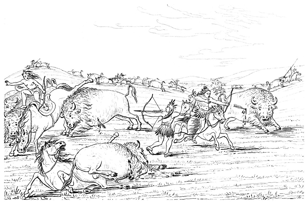 Indianere som jakter på bøfler, 1841. av Myers and Co