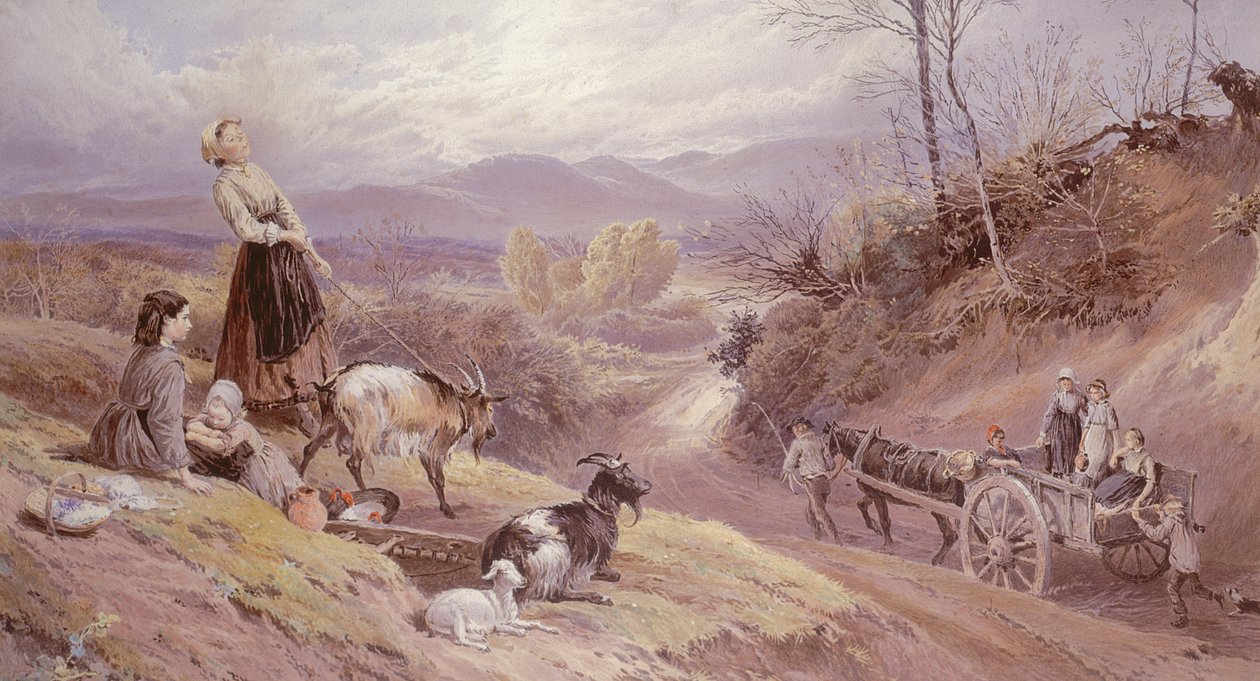 Ukjent bilde av Myles Birket Foster