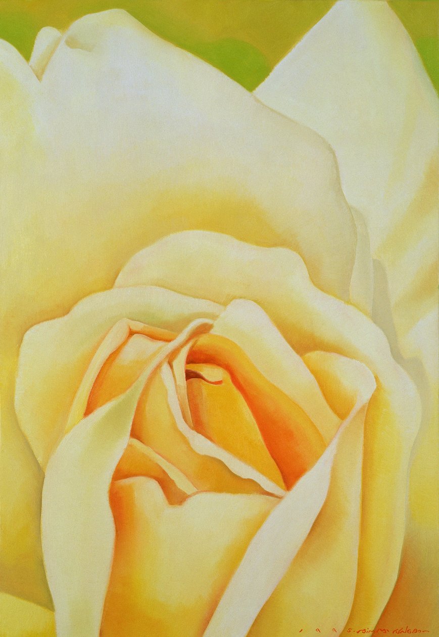 Rosen, 1995 av Myung Bo Sim
