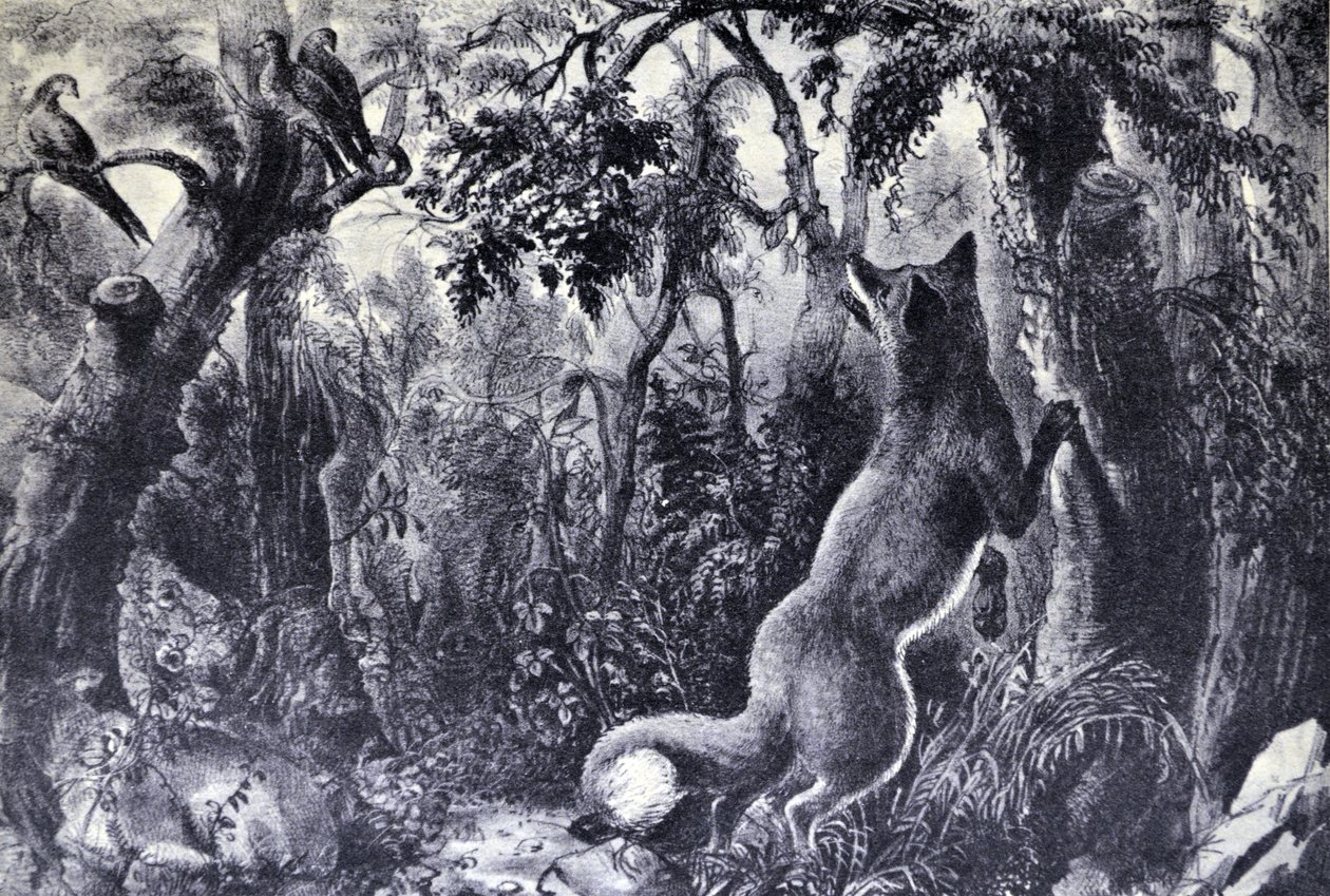 Currier & Ives Illustrasjon 1800-tallet. The Puzzled Fox av N. and Ives, J.M. Currier