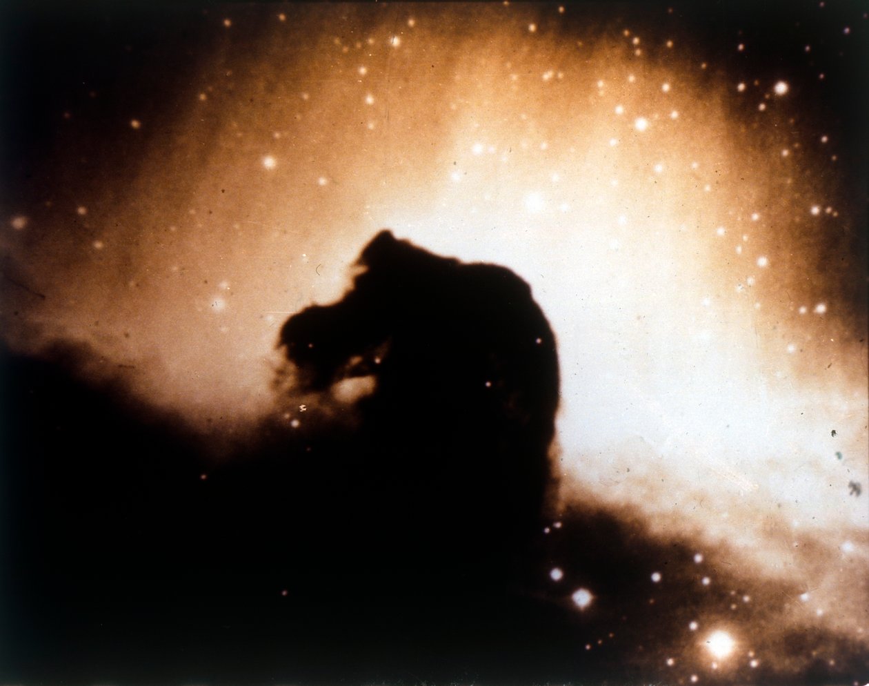 Hestehodetåken i Orion. av NASA Images