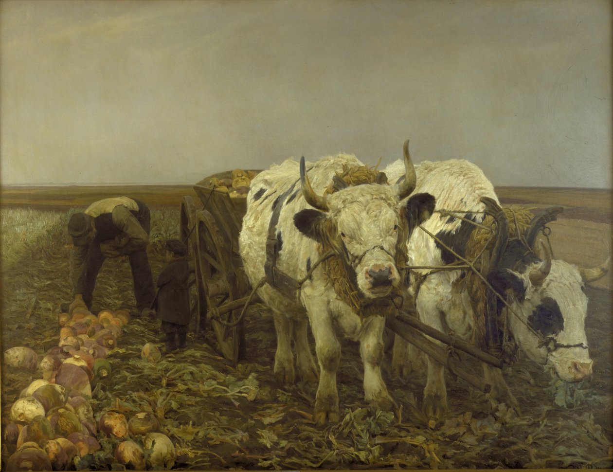 Rødbetehøsting av N.P. Mols