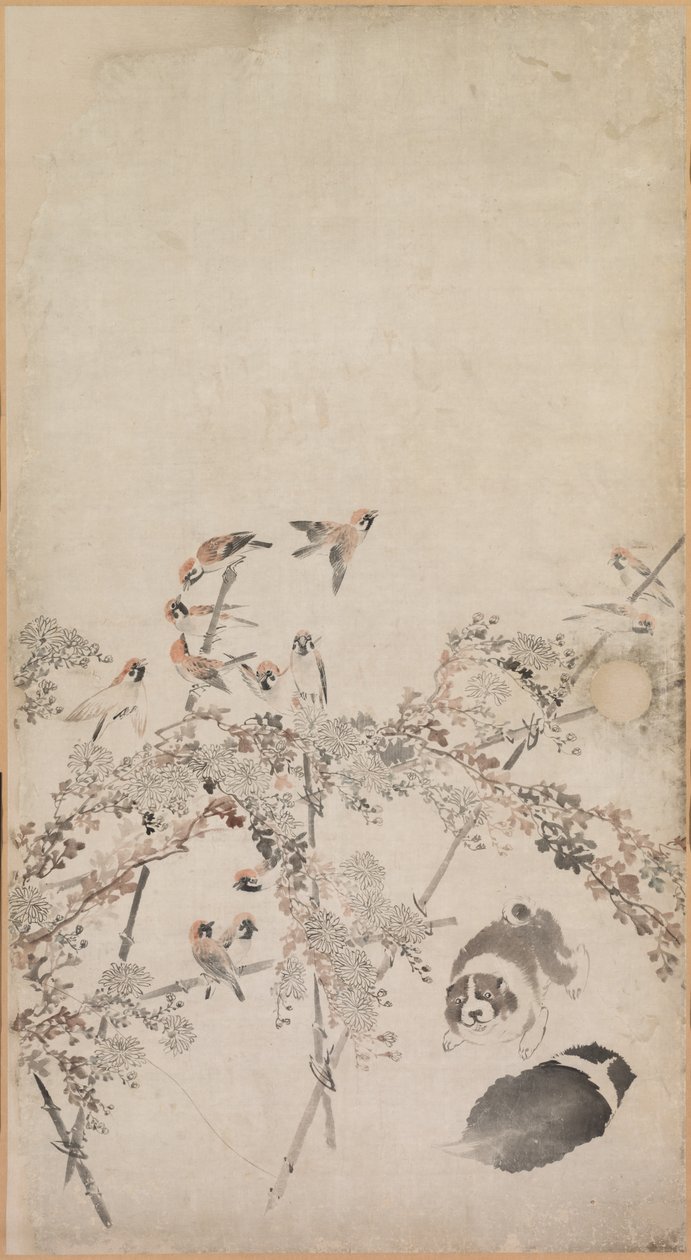 Valper, spurver og krysantemum, 1754-1799. av Nagasawa Rosetsu