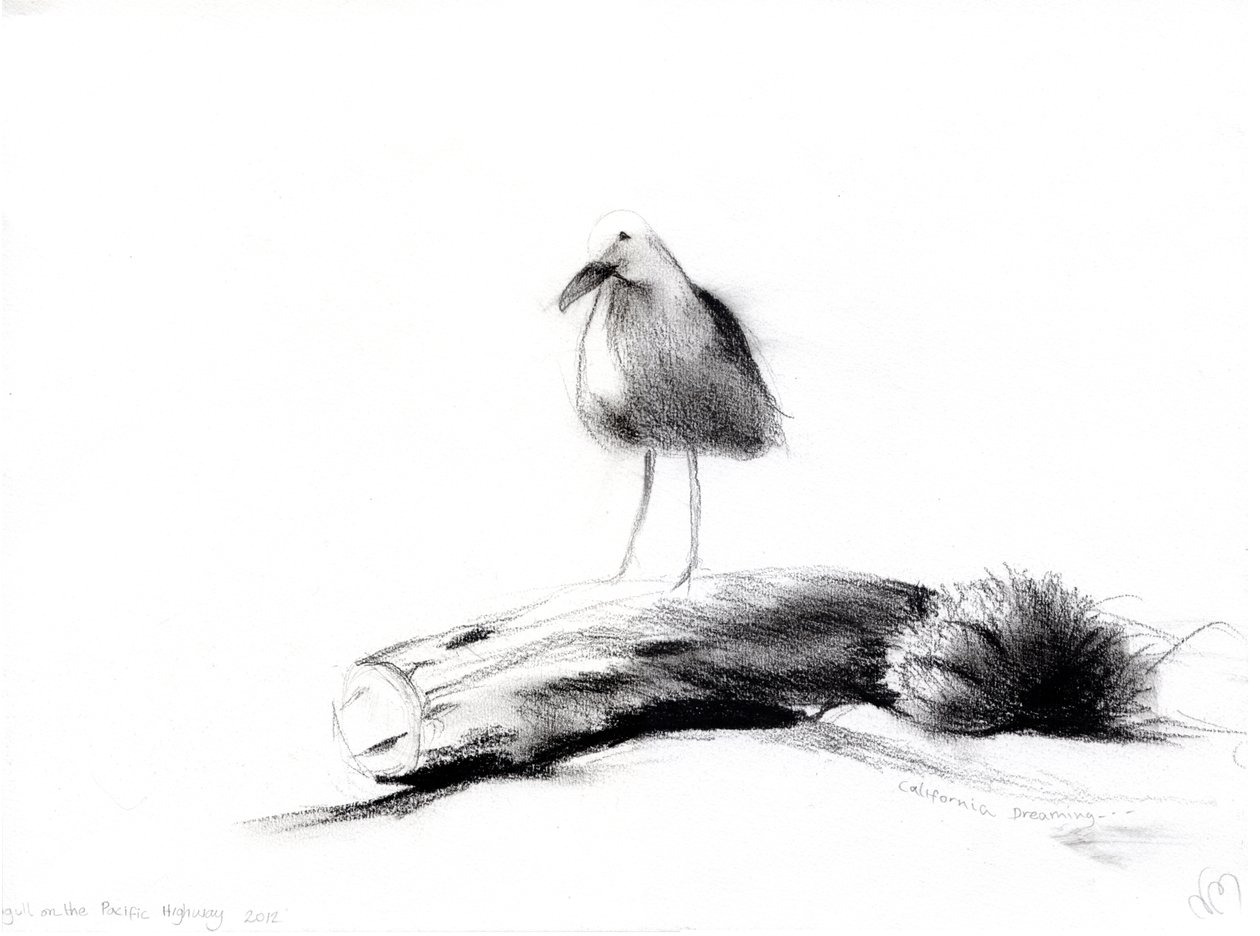 California Seagull, 2012, (kull på papir) av Nancy Moniz Charalambous