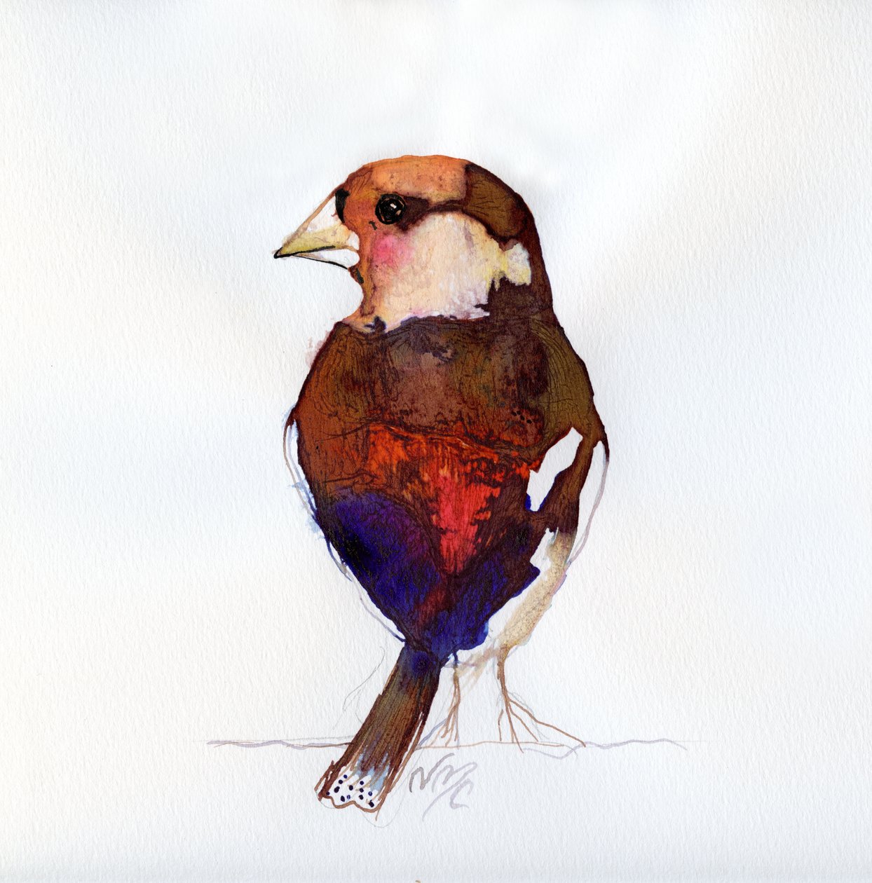 Blushing Hawfinch, 2017 av Nancy Moniz Charalambous