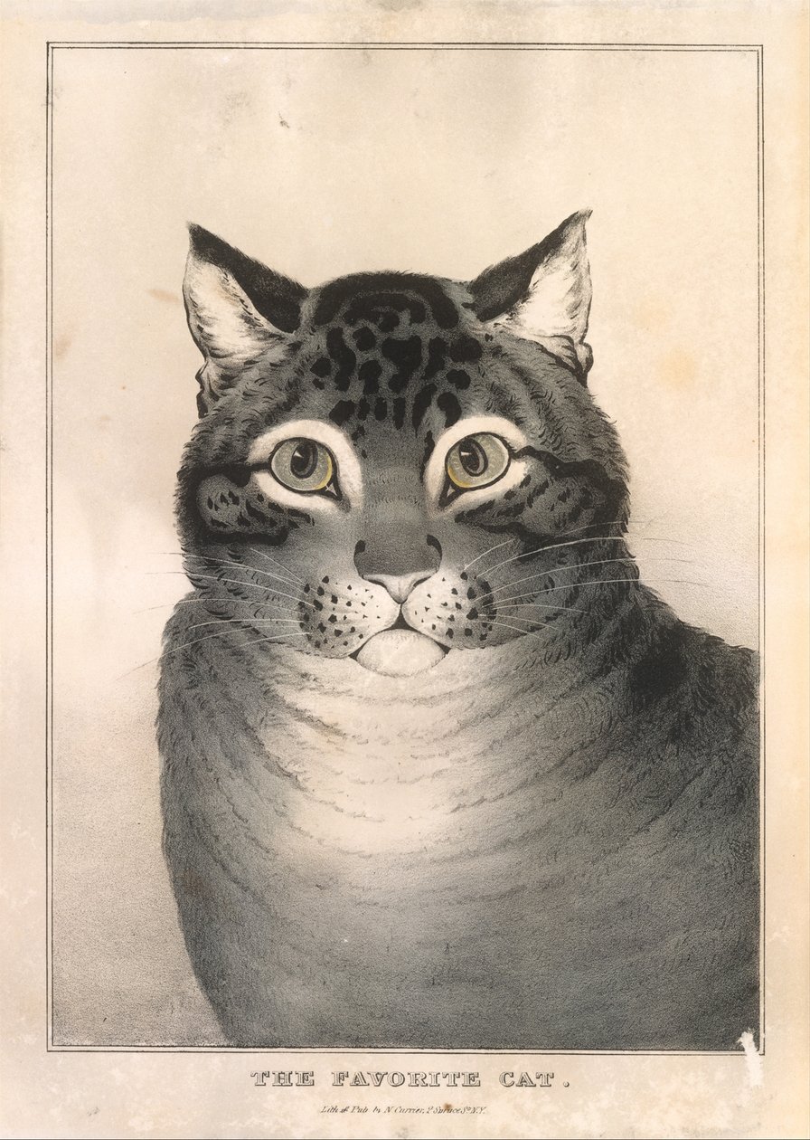 Favorittkatten, 1838-46., 1838-46. av Nathaniel Currier