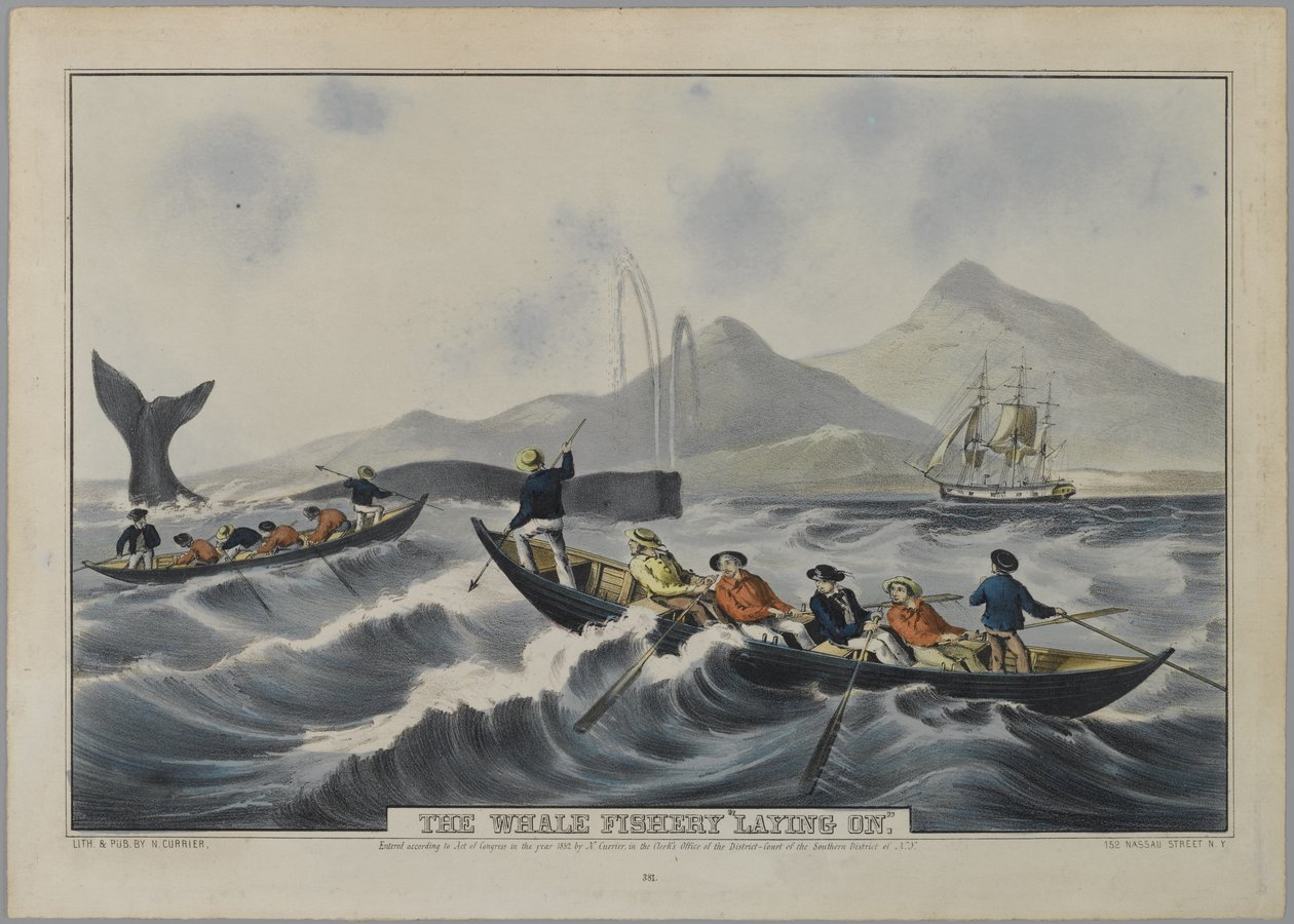 The Whale Fishery 