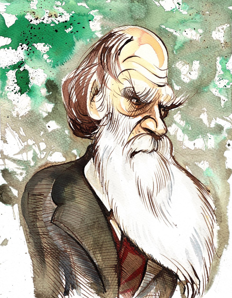Charles Darwin (engelsk naturforsker og forfatter, 1809-82) fargekarikatur av Neale Osborne