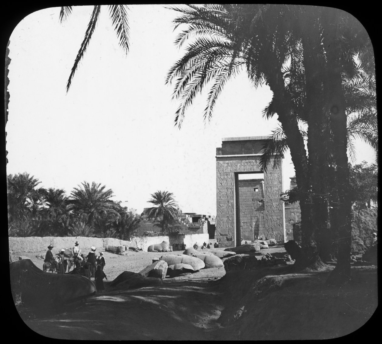 Avenue of Sphinxes, Karnak, Egypt, c1890 av Newton and Co