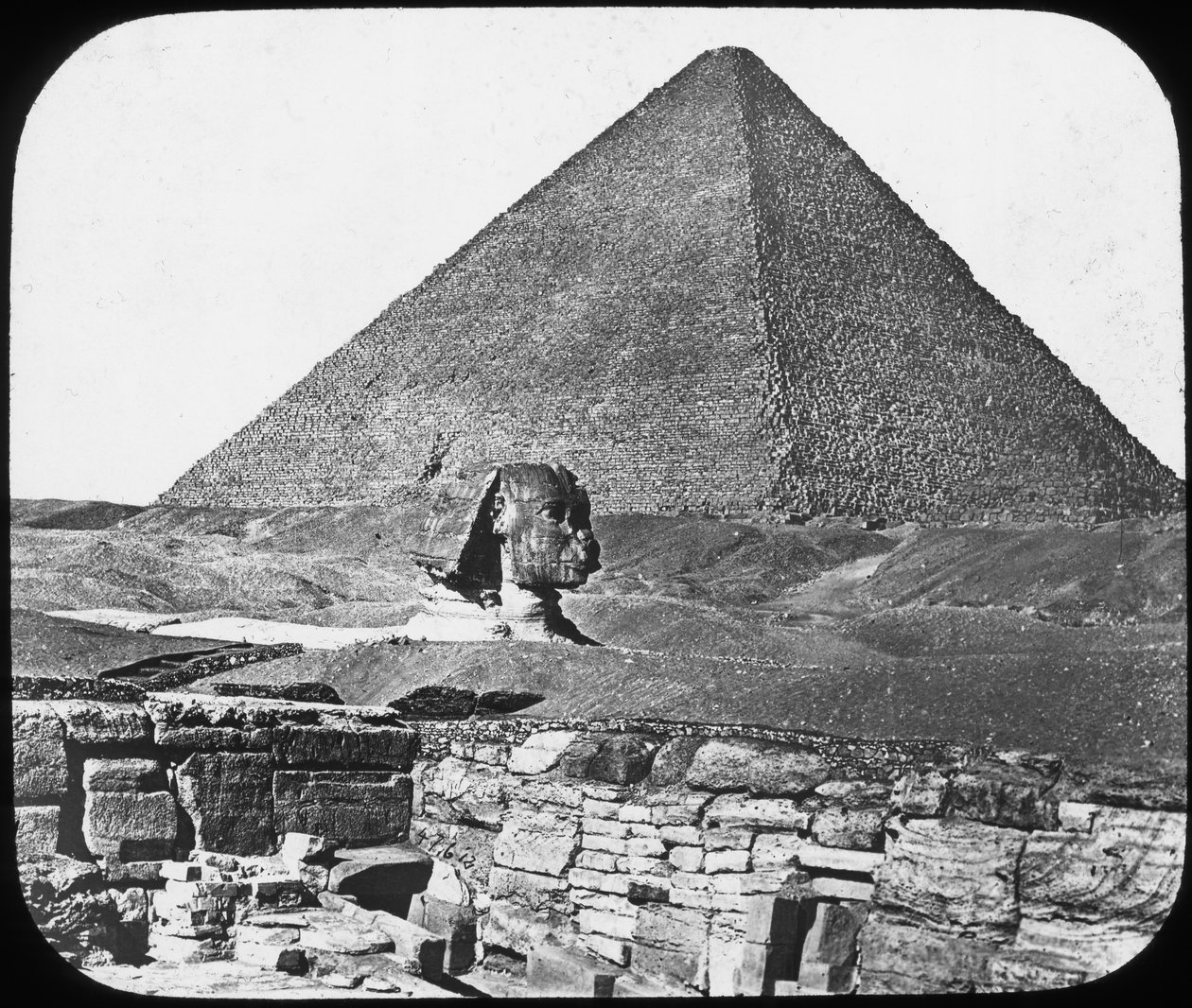 Great Sphinx of Giza, Egypt, c1890. av Newton and Co