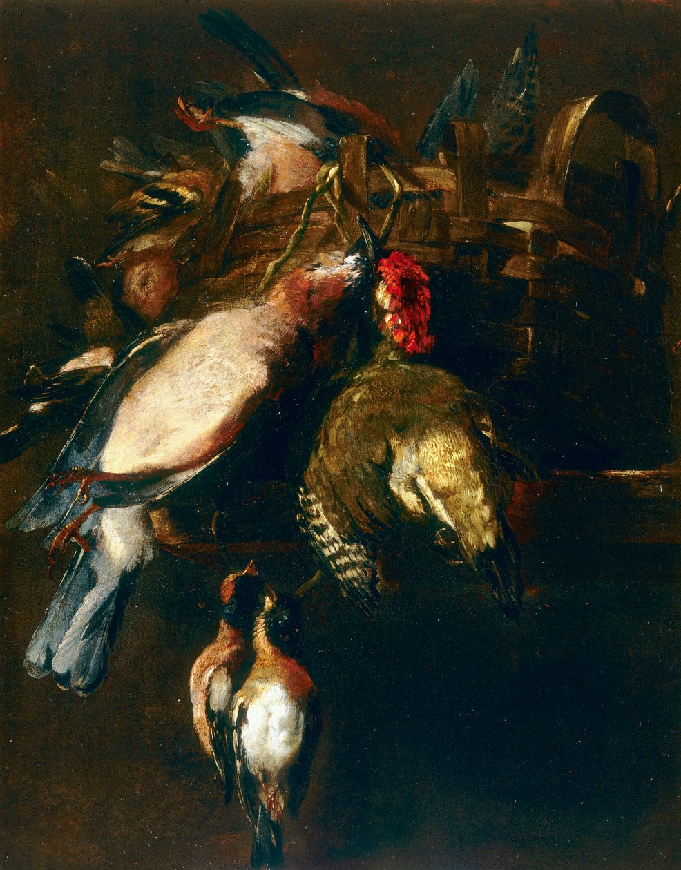 Stilleben med cestode, en rulle og to finker av Nicasius 1620 78 Bernaerts