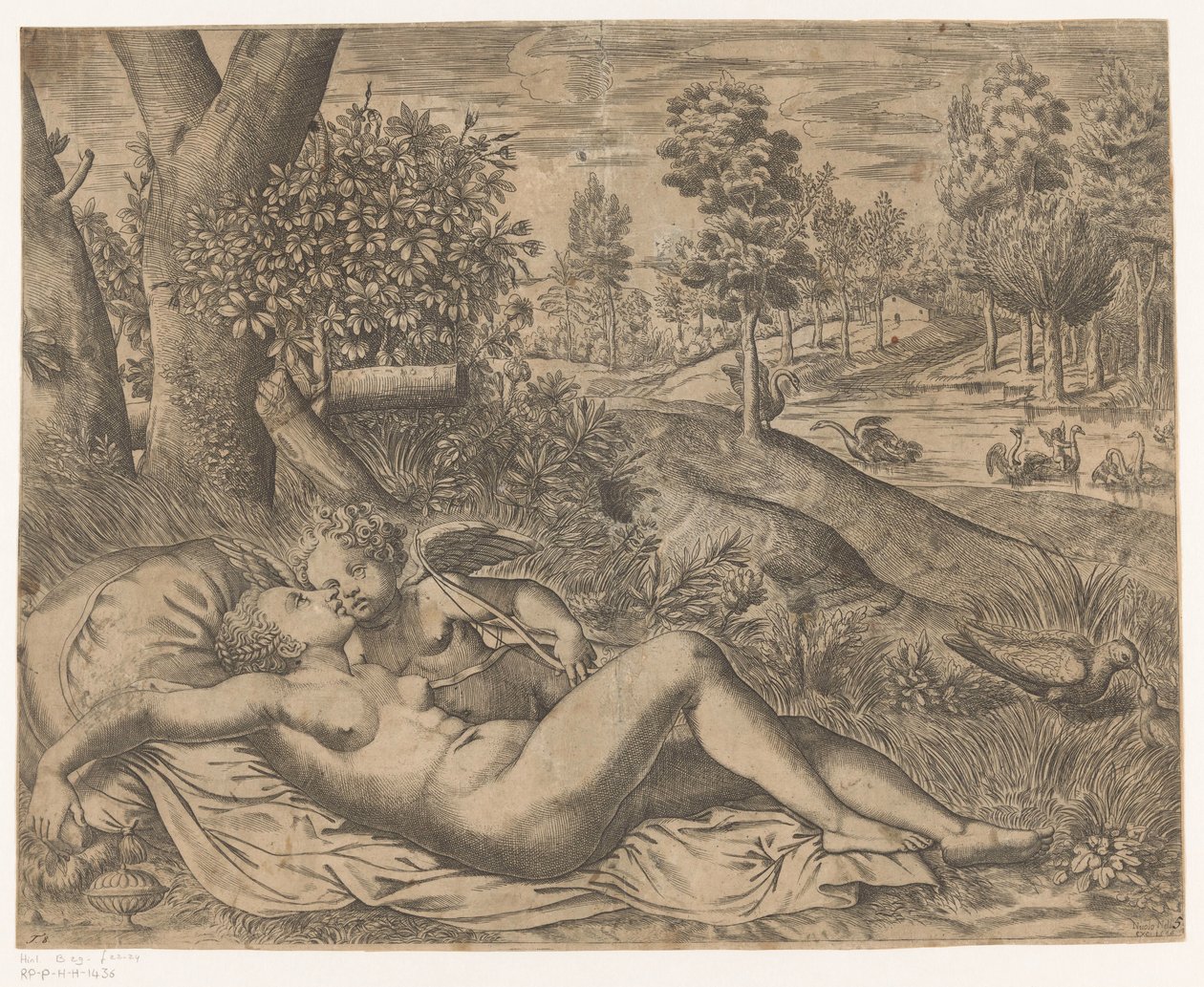 Venus forelsket av Niccolò Nelli