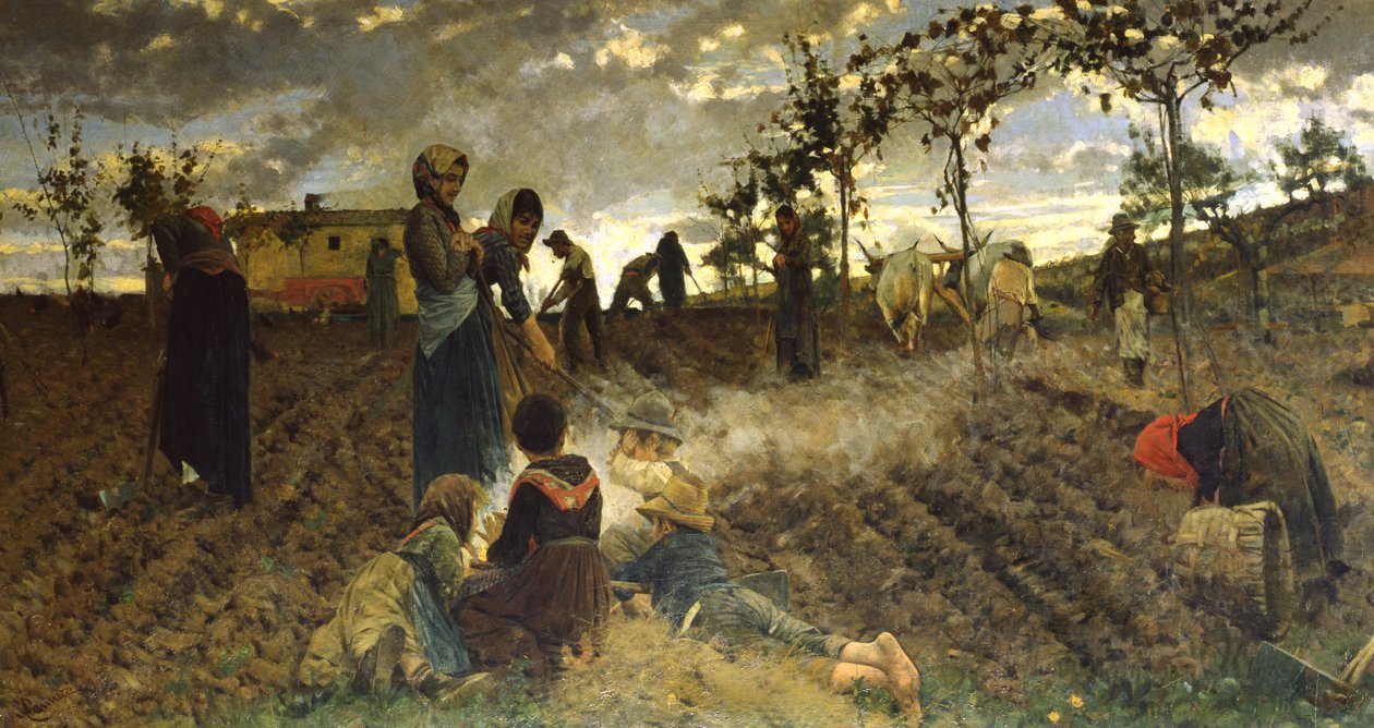 Seeding i Toscana av Niccolo Cannicci