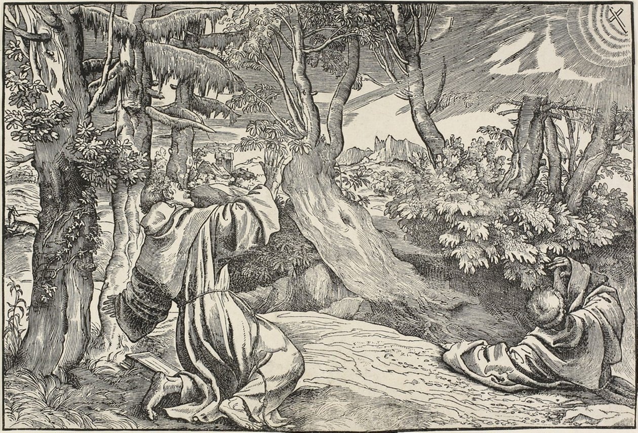 Saint Francis mottar Stigmata av Nicolò Boldrini
