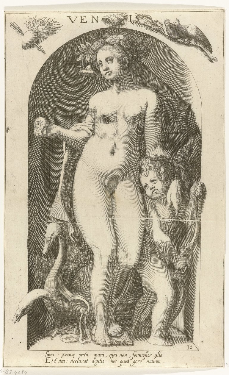 Venus Venis (tittel på objekt) Ancient Gods (serietittel) av Nicolaas Braeu