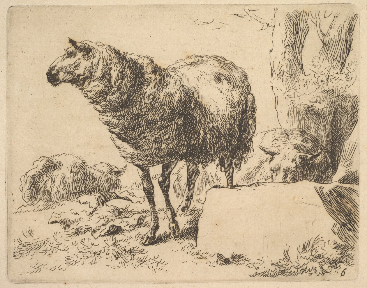 fra The Set of Sheep. av Nicolaes Berchem