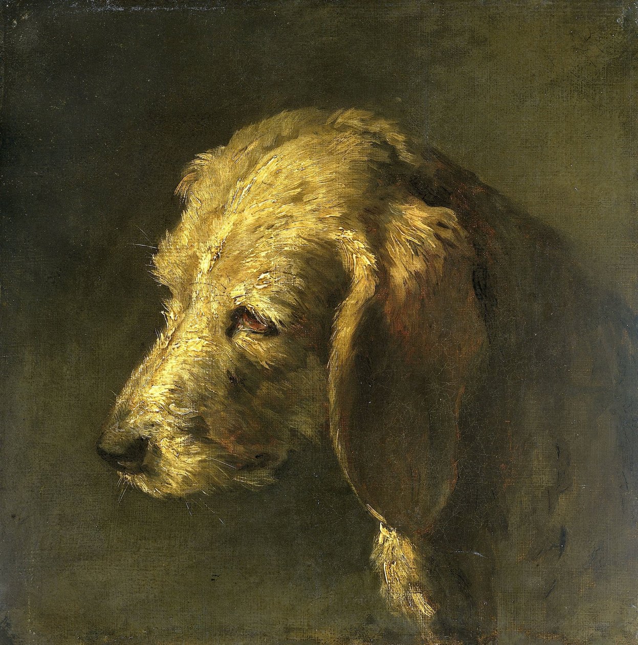 Hodet til en hund av Nicolas Toussaint Charlet (attributed to)