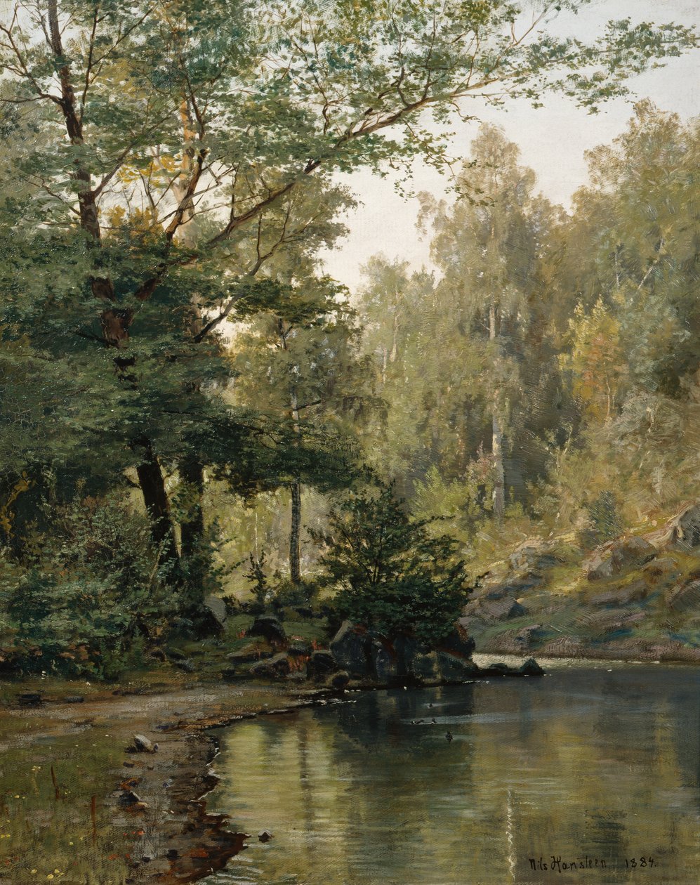  av Nils Hansteen