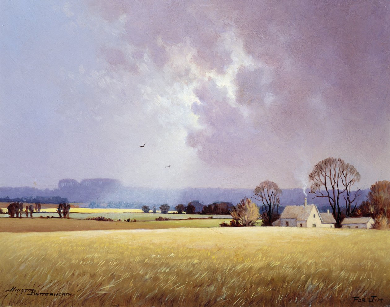 Høstsollys, 1982 av Ninetta Butterworth