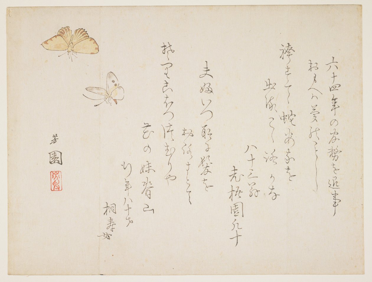 (Sommerfugler) av Nishiyama Hoen