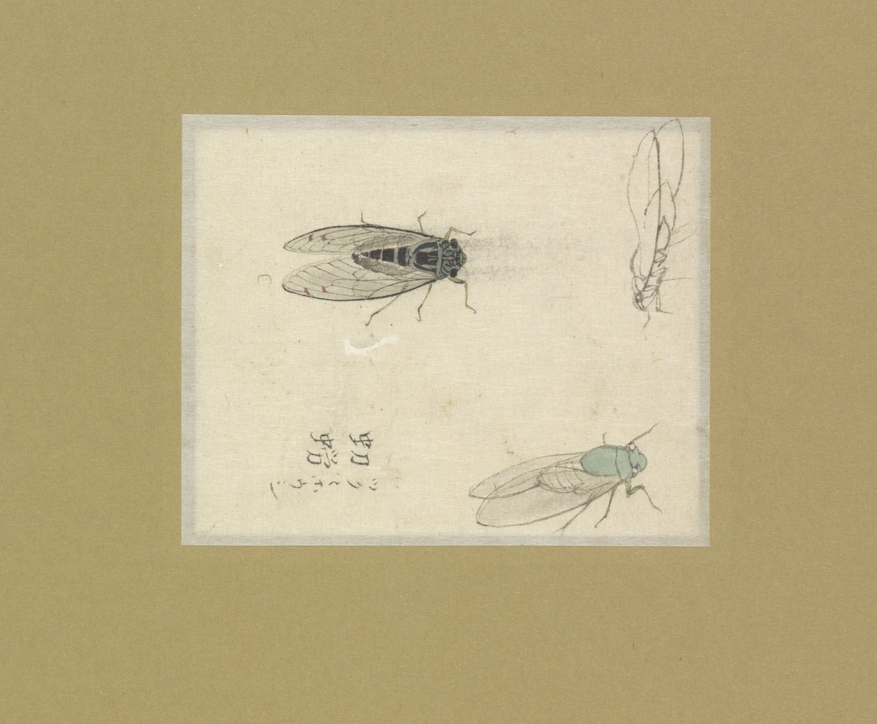 Tre studier av fluer av Nonoyama Kozan (possibly)