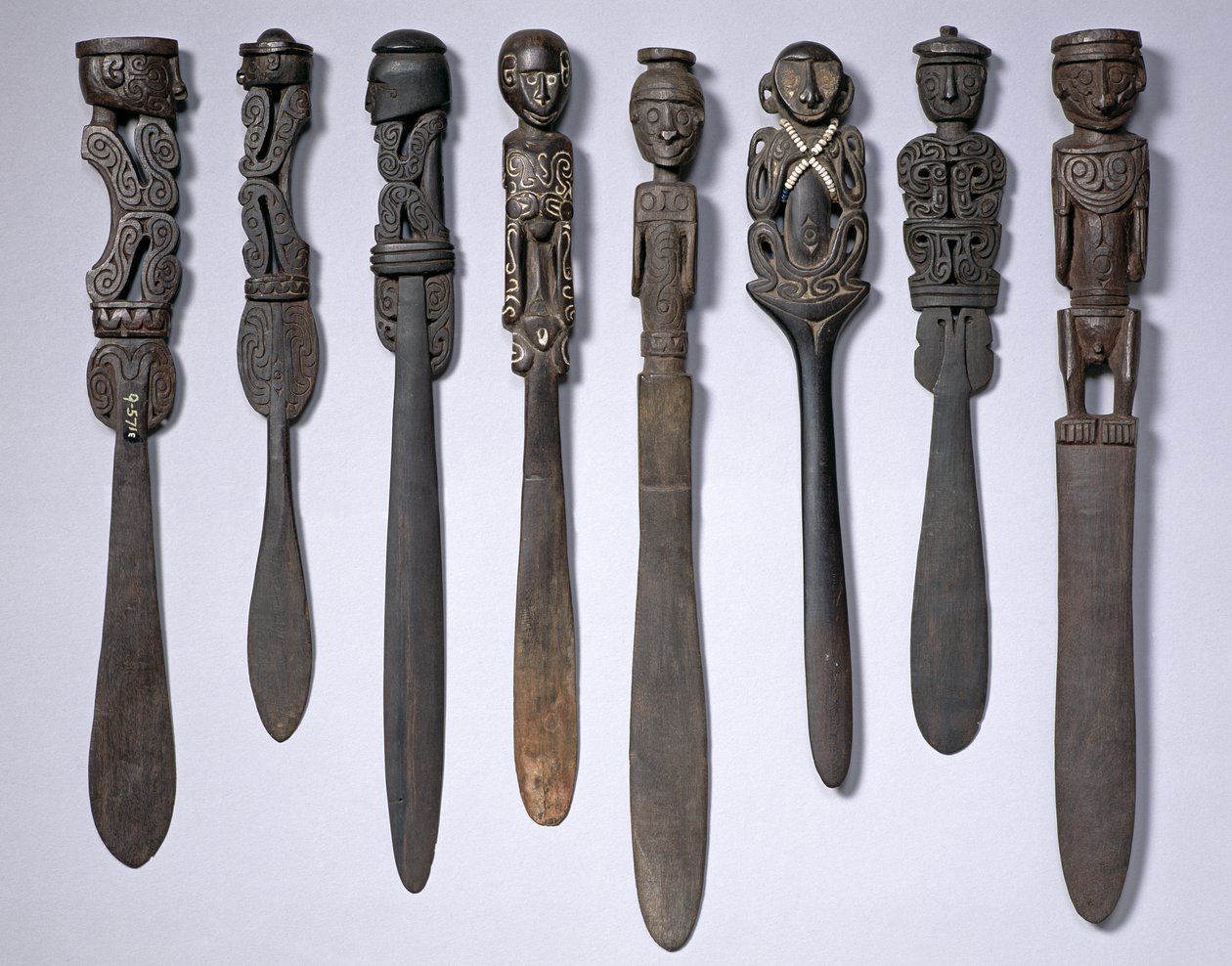 Lime Spatulas, Papua Ny-Guinea (tre) av Oceanic