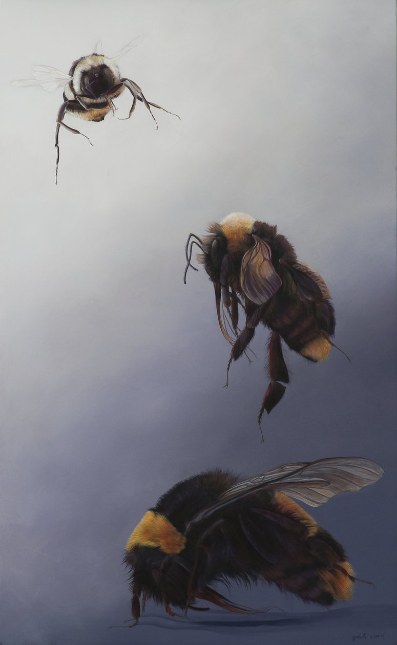 av Odile Kidd